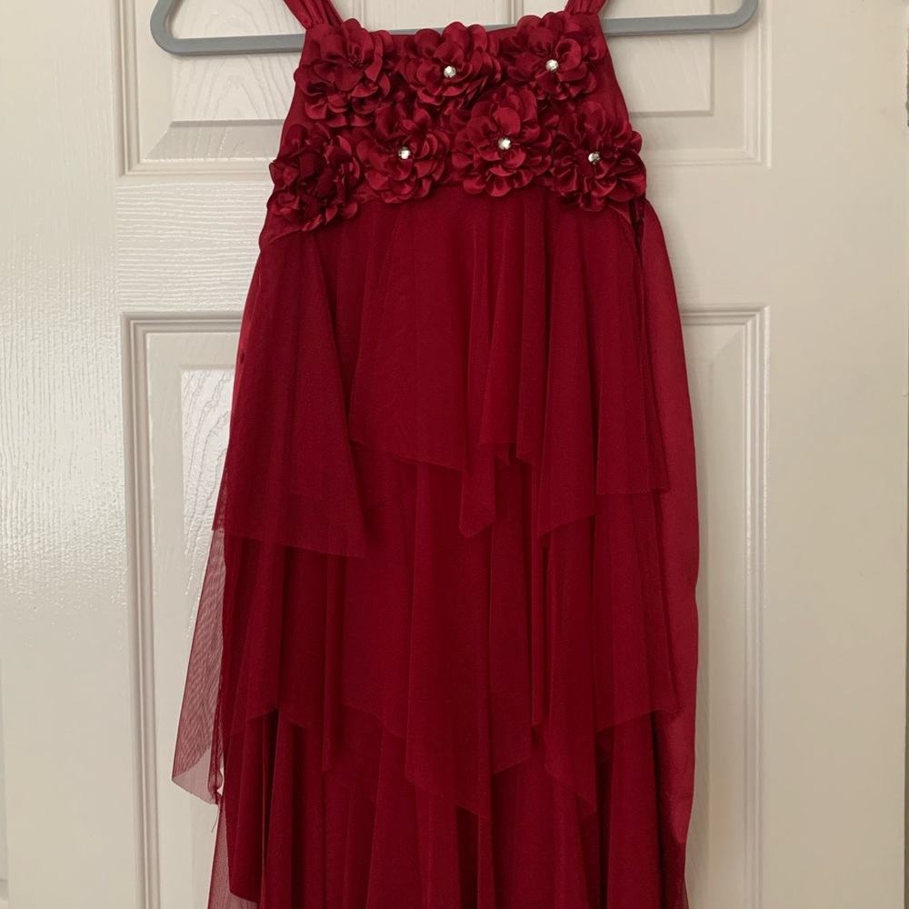 Biscotti Children’s Size 8 Dress